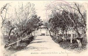 Marnia 204